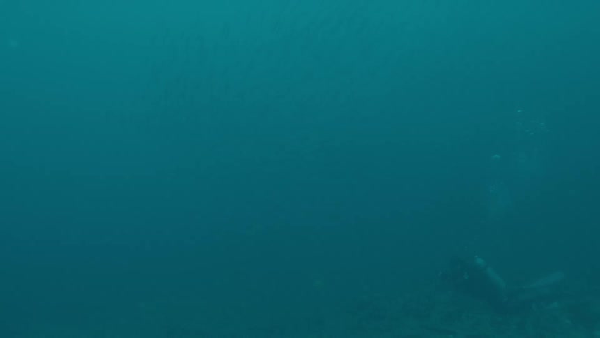 Scuba diver releases bubbles while floating in murky ocean