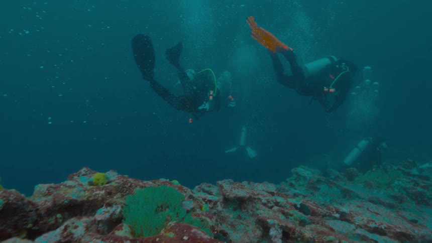 Divers swimming