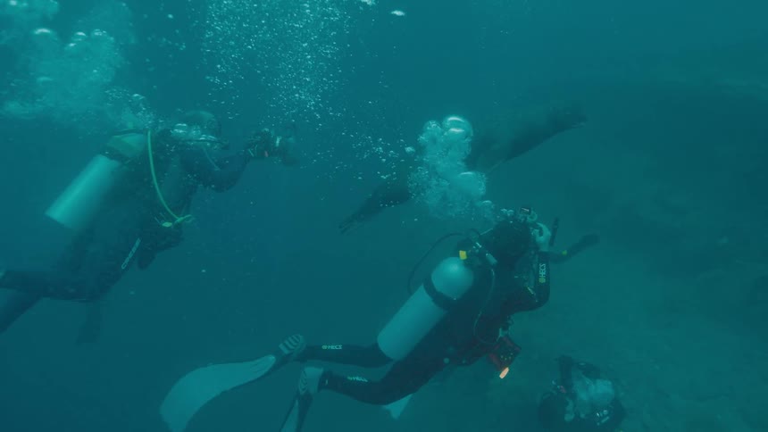 Divers use cameras as they explore underwater