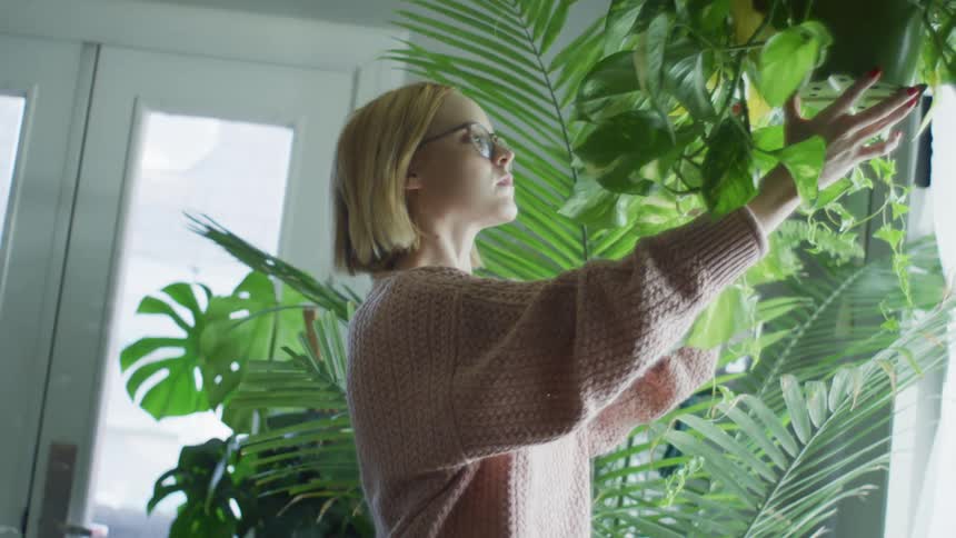 A blond woman with glasses adjusts a hanging houseplant inside a plant room