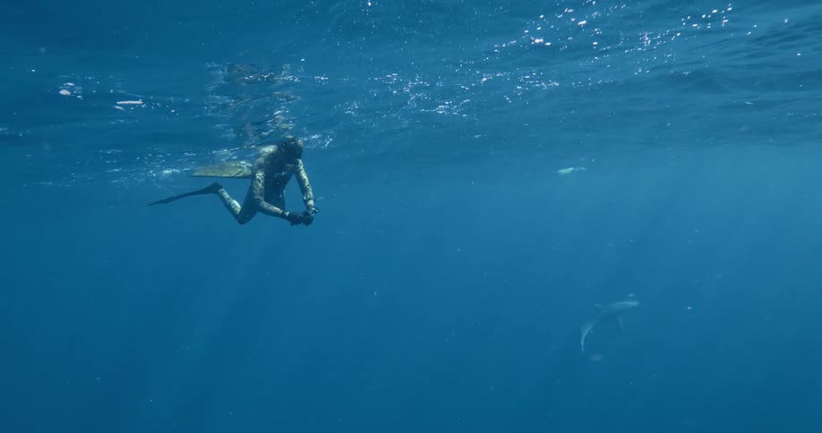 Diver swimming in ocean