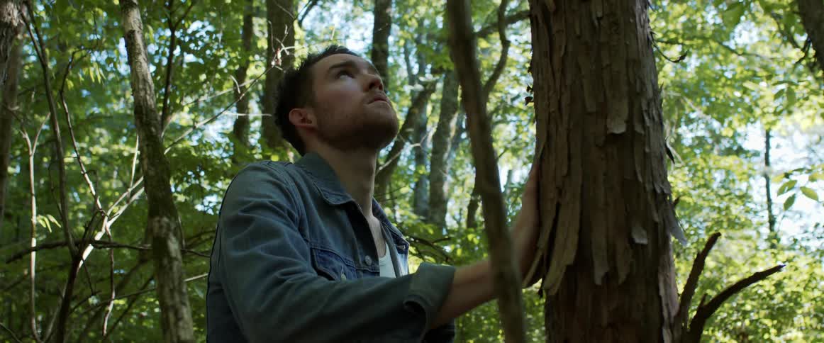 Man touches the bark on a tree while standing in a forest