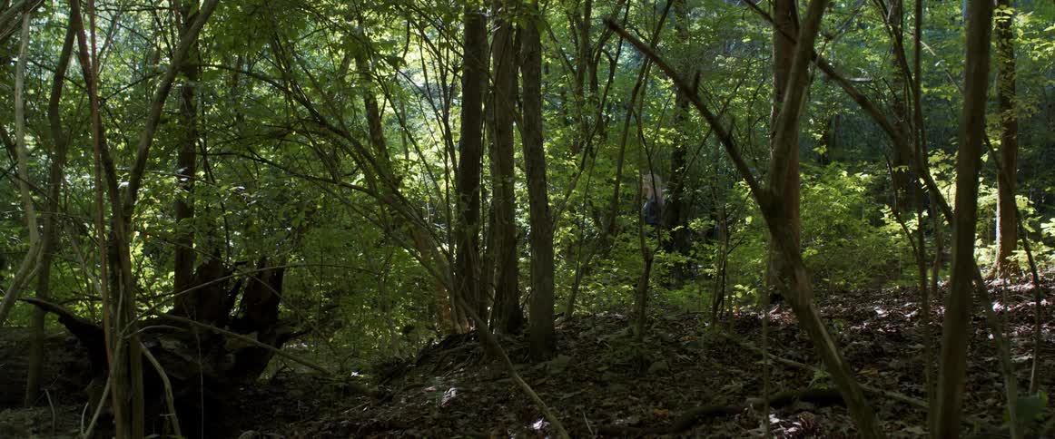 Blonde woman walks through forest strewn with fallen leaves