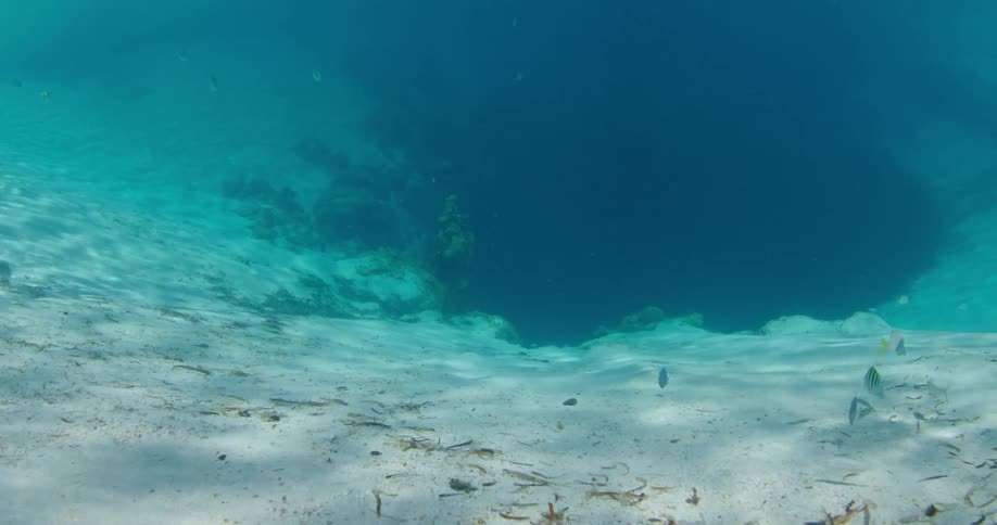 Small fish swim toward a blue hole along the bottom of the ocean
