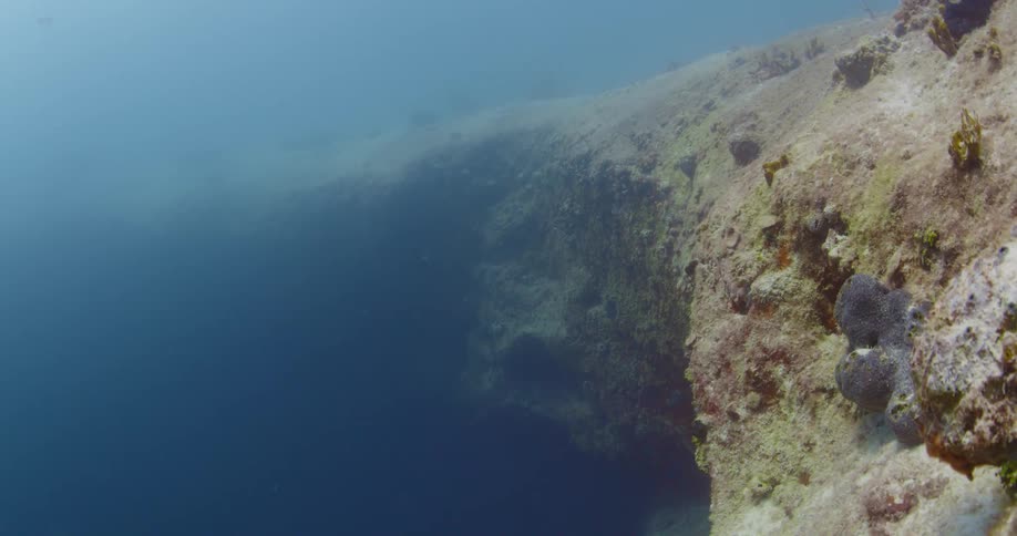 Underwater in the ocean with a fish and rocks