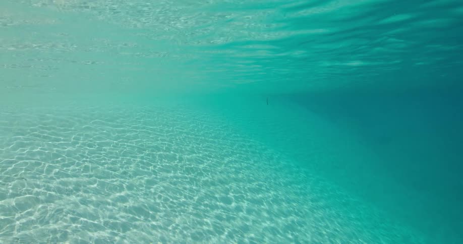 Underwater in the ocean with water rippling