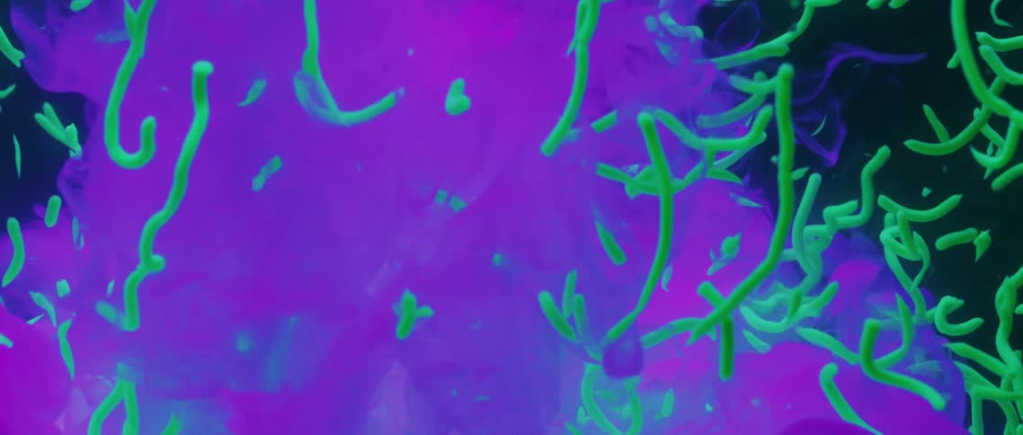 Purple smoke spreads around the floating green fibers