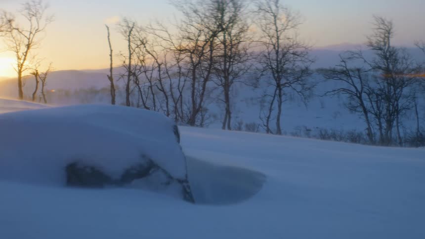 Sun sits on tinted horizon over landscape of leafless trees and snow covered mountains