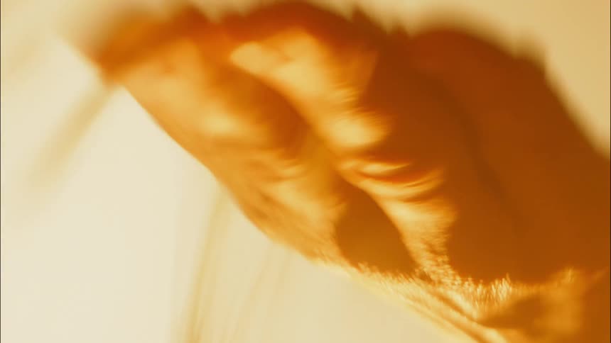 Grains of wheat fall from an open hand