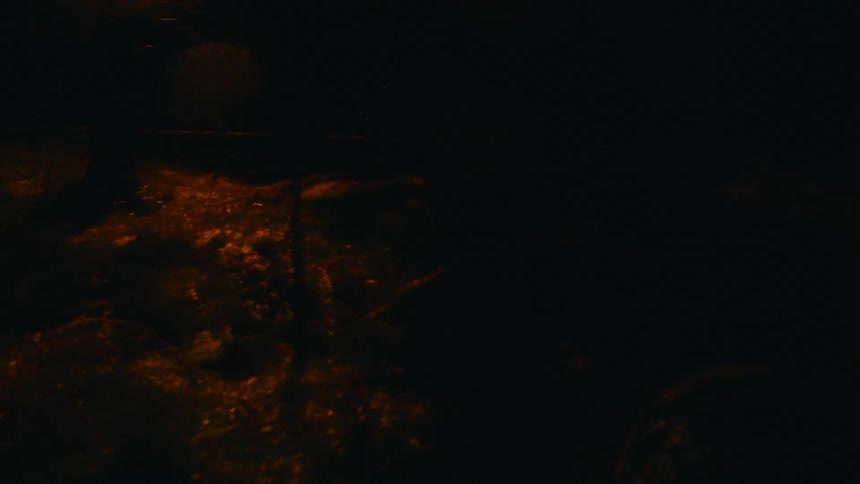Golden vegetation shows under dark shadows