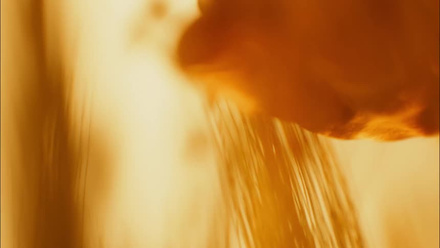 Hand inside wheat