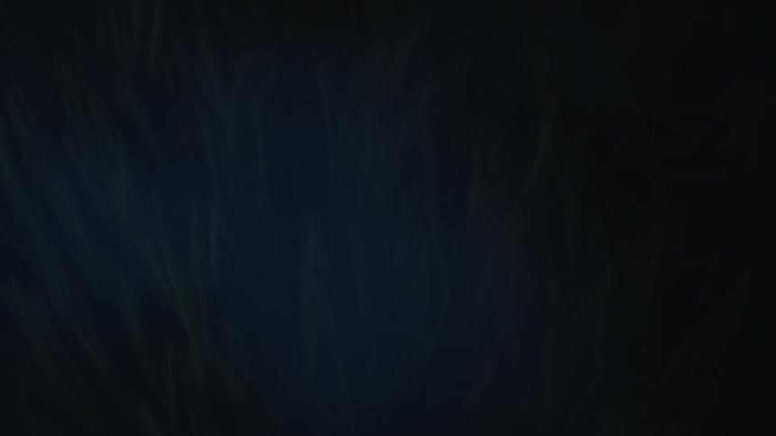 Pulsing lights and darkness