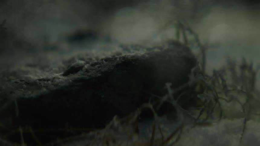 Lights flashing while snow falls on a rock on the ground