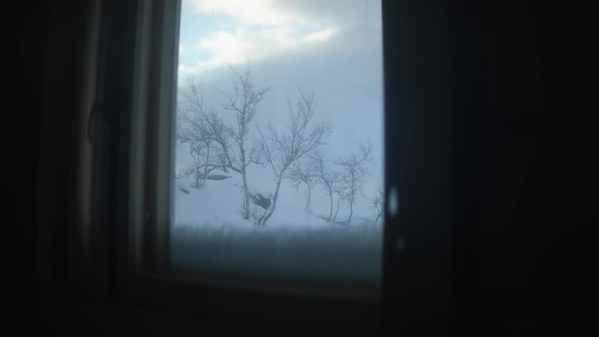 Window shows snow covering ground under leafless trees on cloudy day