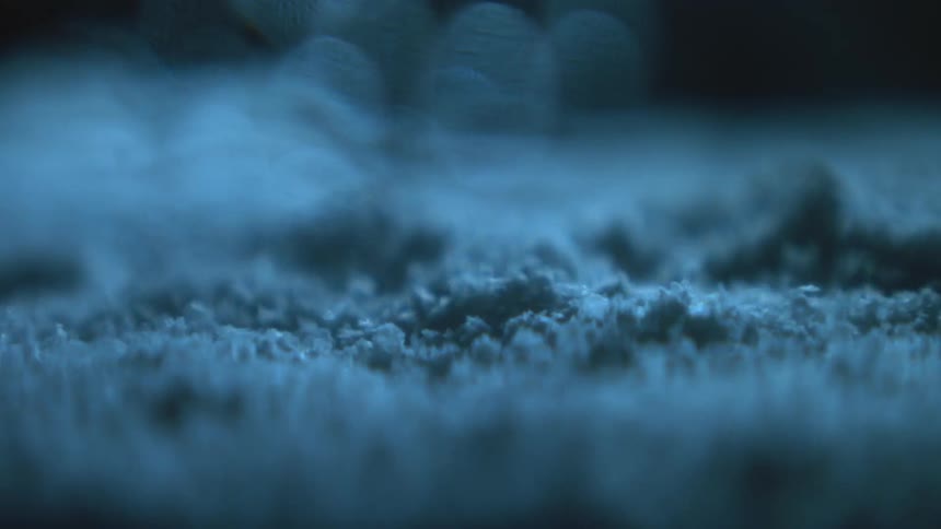 Granules bounce on a vibrating surface