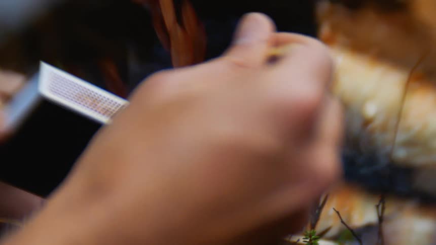 A person uses a match to light a campfire