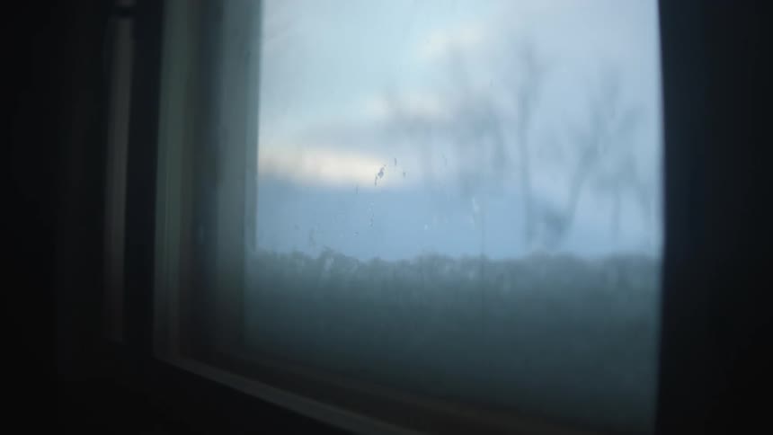 Tree outside of frosty window