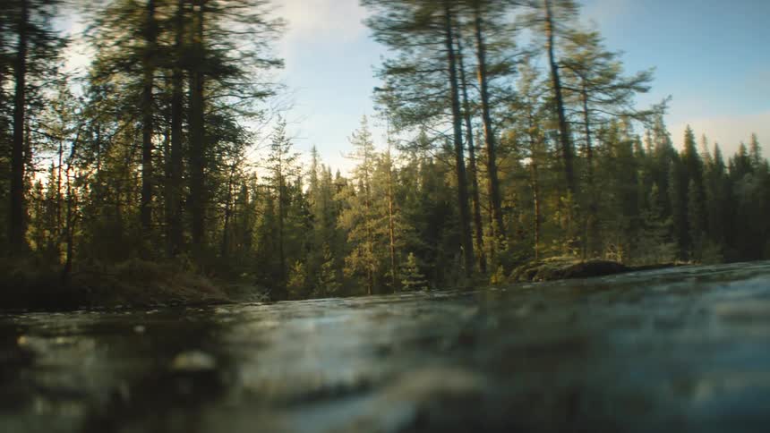 Swimming in water
