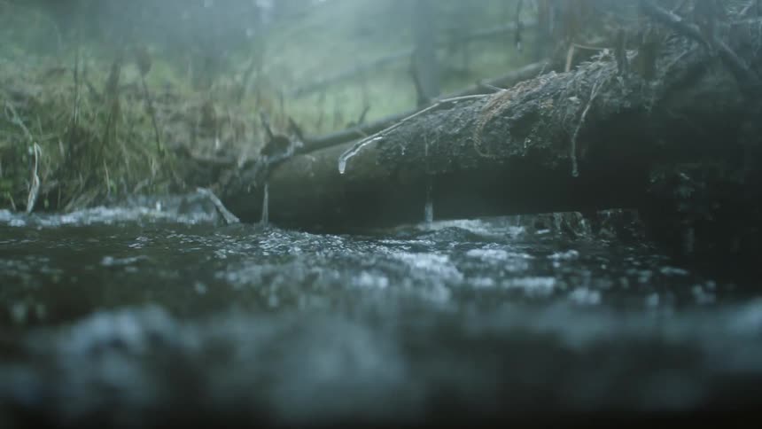 Water flows down river under fallen log decorated with icicles in forest