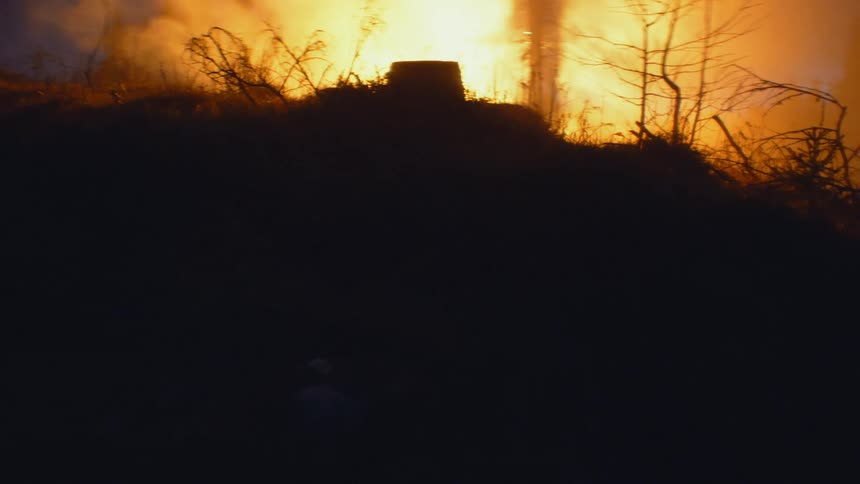 Yellow light floating above the white smoke on a forest at night