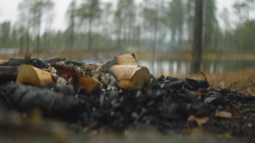 A smoldering campfire next to a forest lake in the daytime