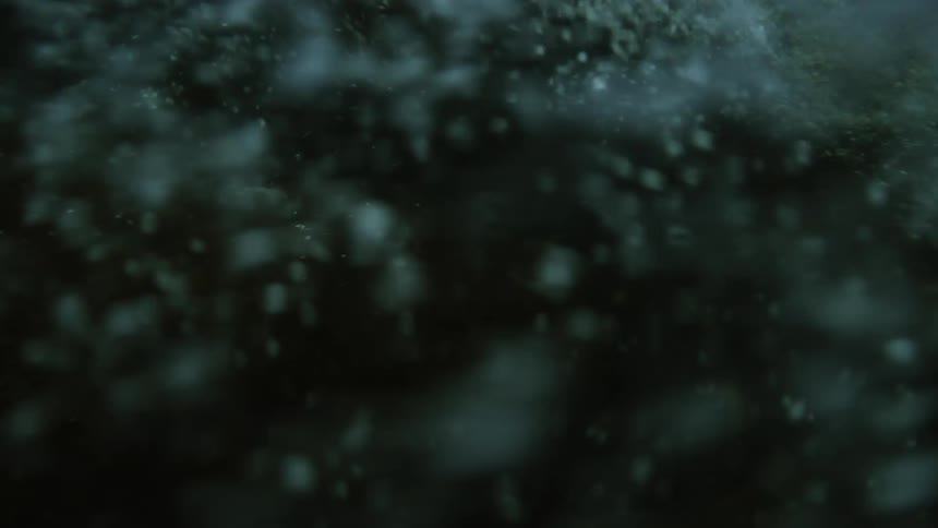 Air bubbles move rapidly as waves move through the ocean