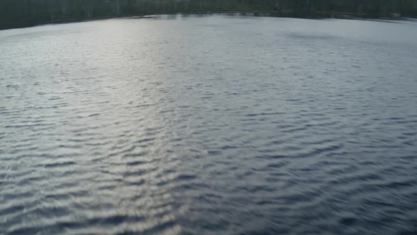 Aerial footage of a lake with a forest in the distance during the day