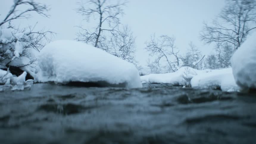 A river flows steadily past a snow covered rocks and tall leafless trees