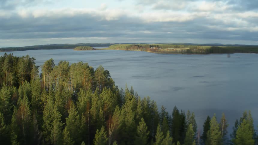 Aerial view of trees near a lake is displayed