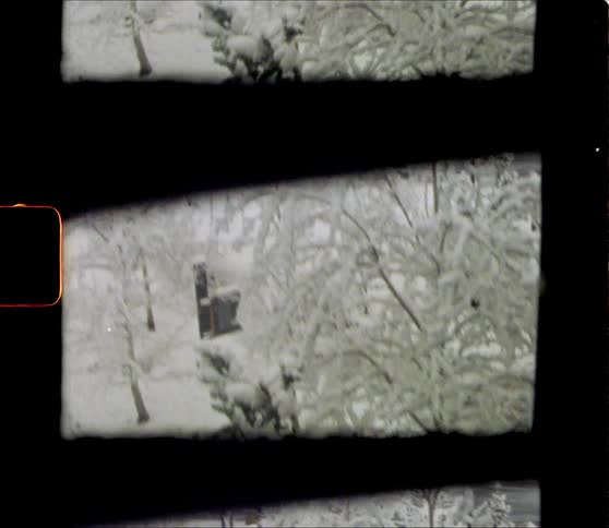 A number of wooden houses are located near snow covered trees and forests
