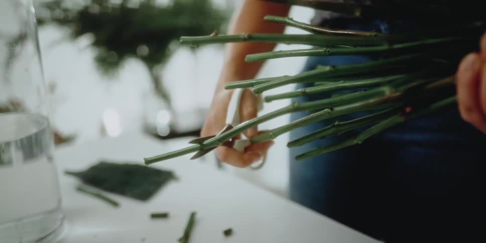 A person is cutting stems off a flower