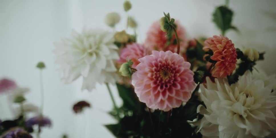 A flower arrangement in a room with a wall in the background
