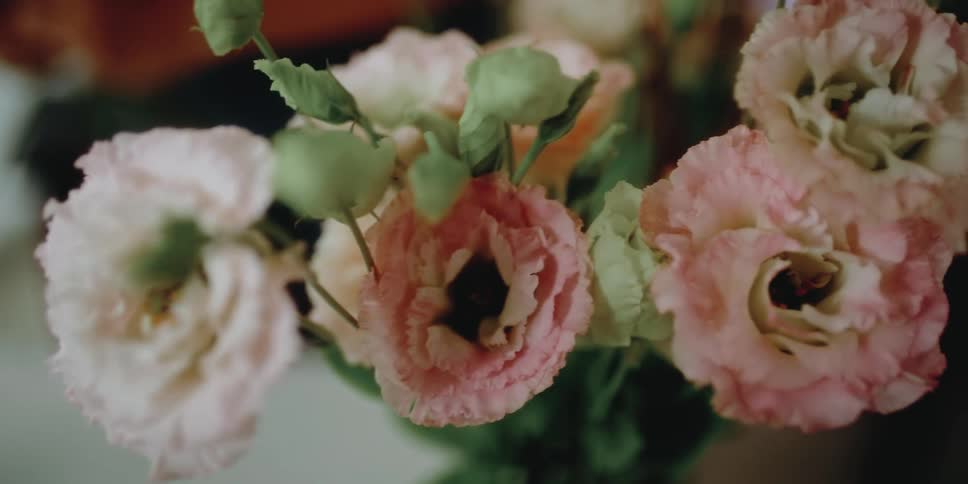 A bouquet of white and pink flowers and buds