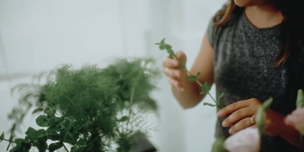 A florist chooses a plant stem and smells it