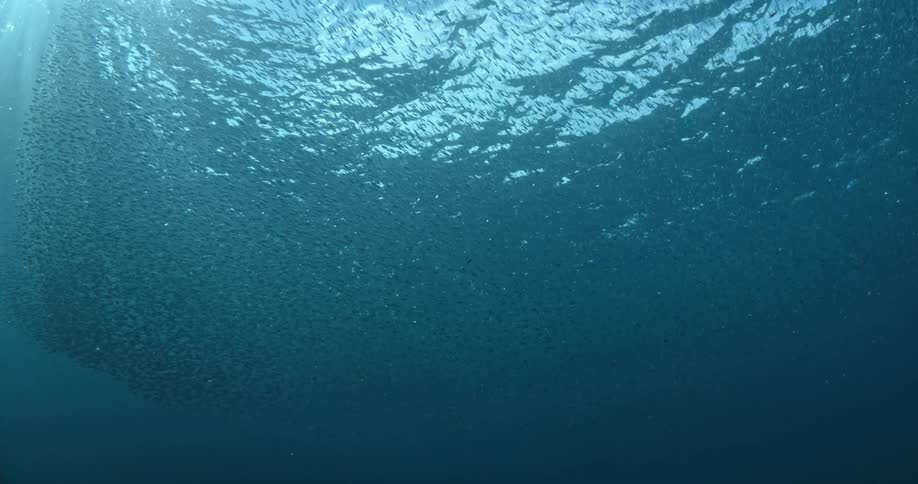 Ocean waves and bubbles