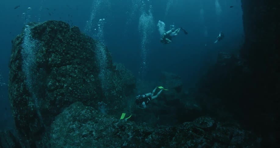 Divers swim in the ocean