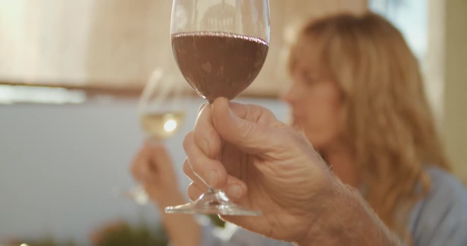Mature couple drinking wine while dining at home