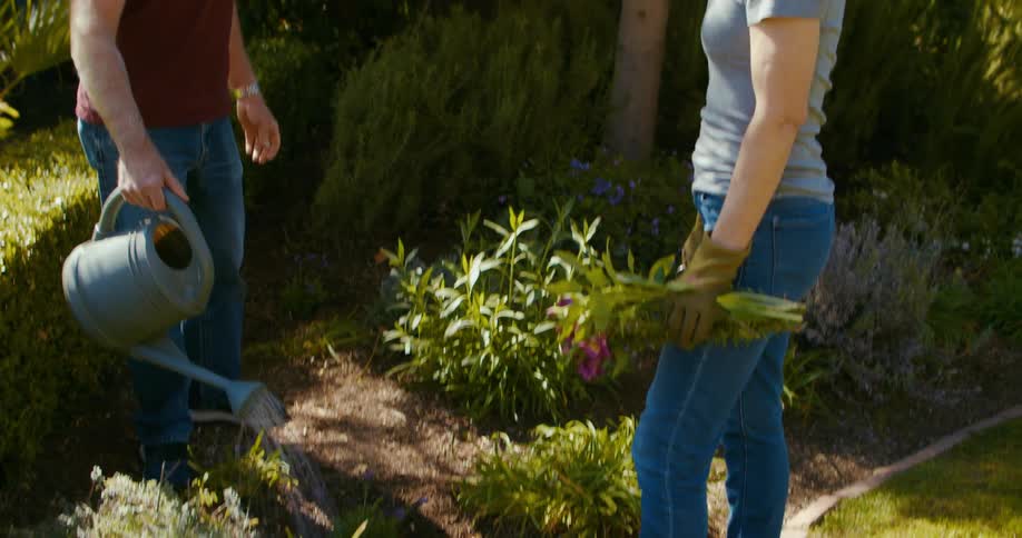 Man and woman water plants in the garden