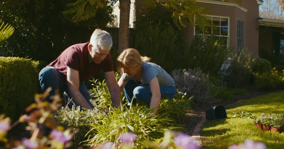 Mature couple tending the garden on the backyard at home