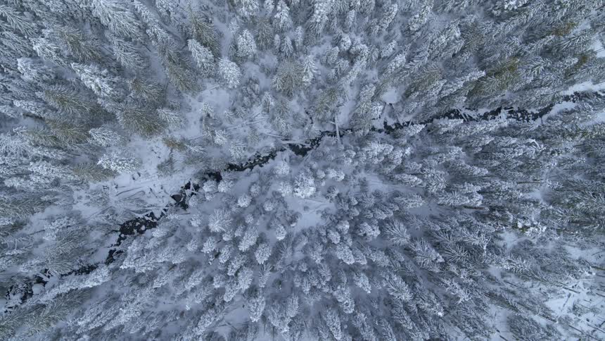 An icy creek winds along the forest in a brilliant winter wonderland