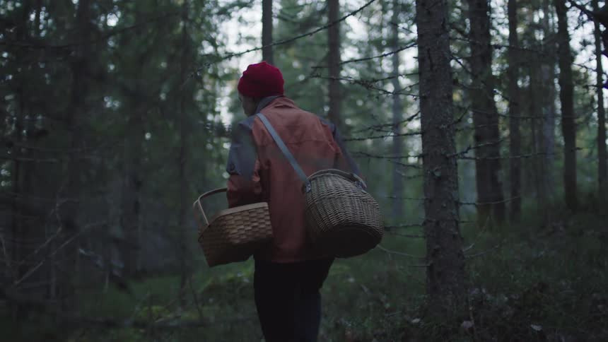 Human foraging in forest