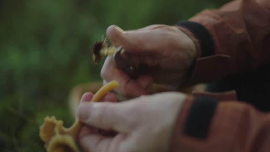 A man cutting roots from a mushroom while foraging outside
