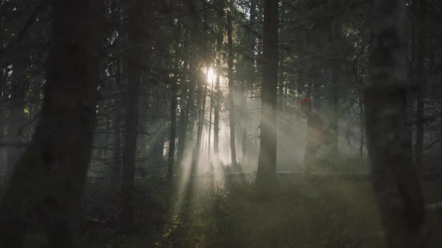 Man with red beanie carries a basket in the forest while the sun shines through the trees