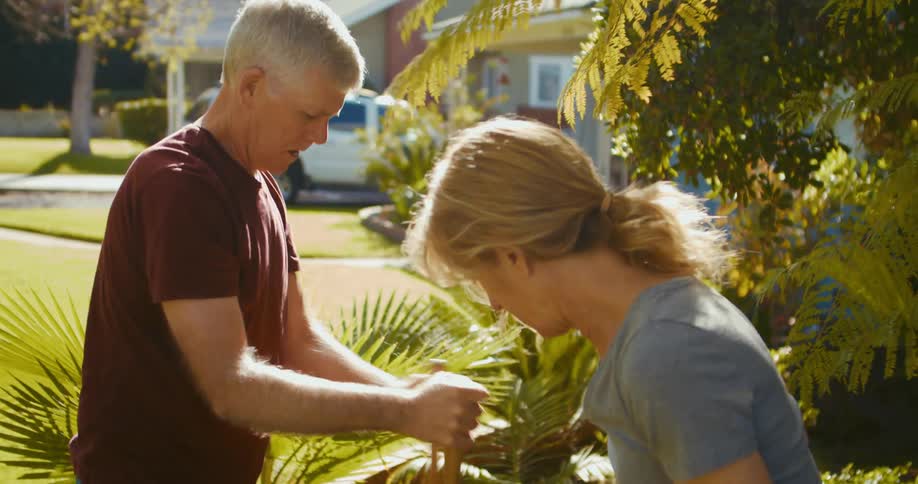 A man and woman are planting in their yard in spring