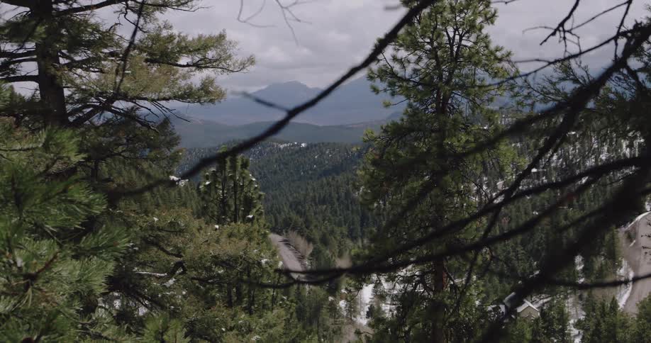 Mountain range seen through trees under a cloudy sky