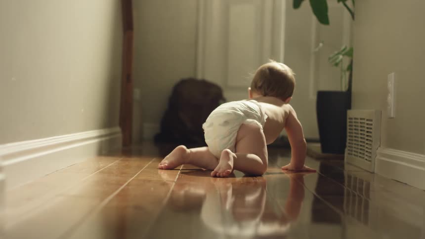 A baby crawls down a hallway in a house during the day