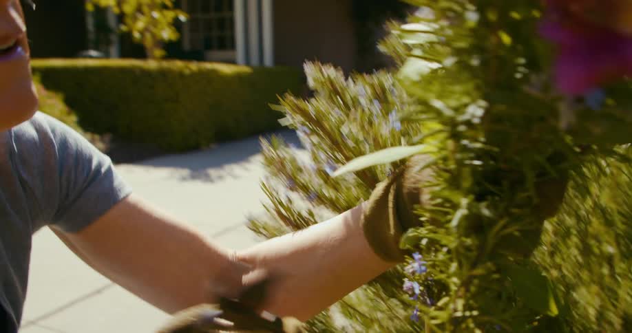 A woman is planting flowers in her garden