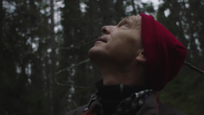 Human looking around forest