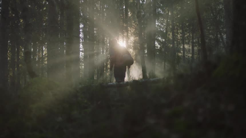 A backpacker walks over a fallen tree in the forest