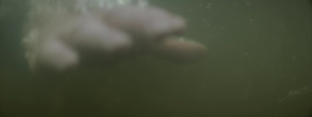 A person dipping hands frantically on a river